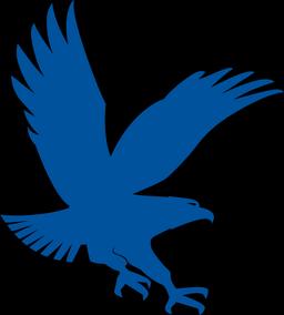 Embry-Riddle Aeronautical University Logo
