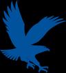 Embry-Riddle Aeronautical University Logo
