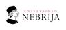 Universidad Nebrija Logo
